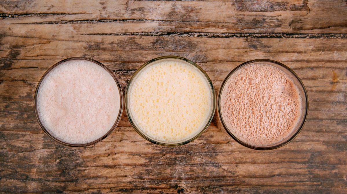 Types of Protein Powder_hero